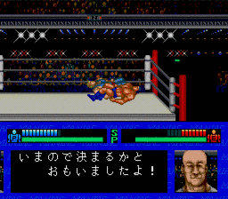 マニアックプロレスの画像