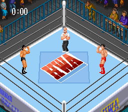 スーパーファイヤープロレスリングの画像