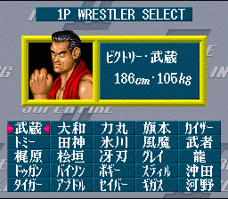 スーパーファイヤープロレスリング2の画像