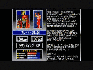 スーパーファイヤープロレスリング3の画像