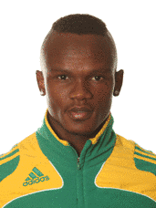 シボニソ・ガクサの画像
