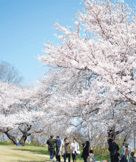 桜地人館の画像