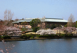 茨城県近代美術館の画像