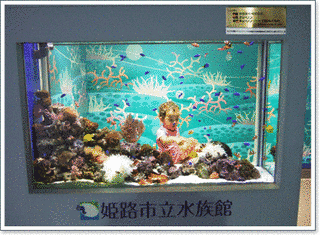 姫路市立水族館の画像