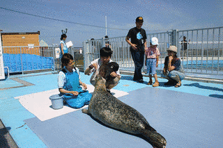 オホーツクとっかりセンターの画像