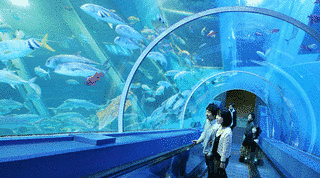 横浜水族館の画像