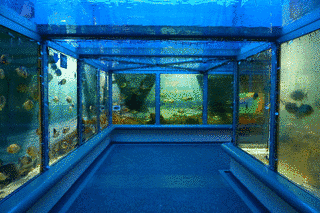 神戸市立須磨海浜水族園の画像