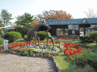秋田市大森山動物園の画像