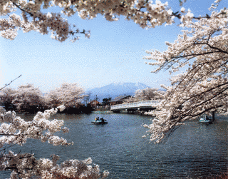 臥竜公園の画像