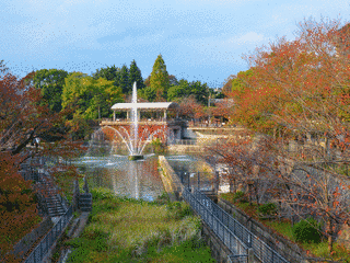 京都市動物園の画像
