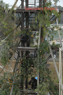 熊本市動植物園の画像