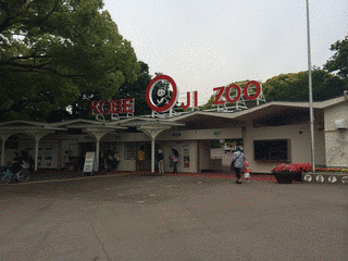 神戸市立王子動物園の画像
