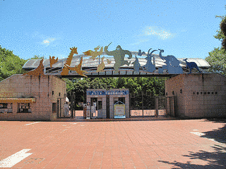千葉市動物公園の画像