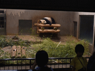 東京動物園協会の画像