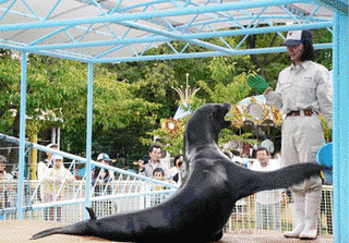 長野市城山動物園の画像