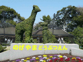 野毛山動物園の画像