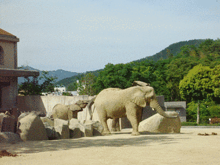 広島市安佐動物公園の画像