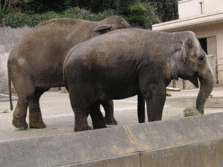 横浜市立金沢動物園の画像