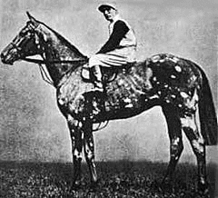 1911年生 (競走馬)の画像