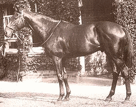 1920年生 (競走馬)の画像