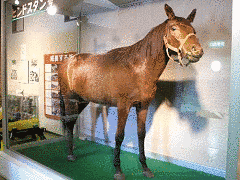 1946年生 (競走馬)の画像