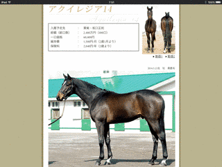 コマツヒカリの画像