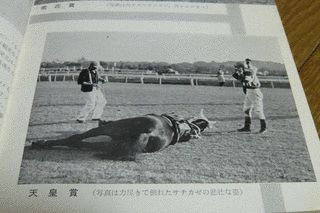 サチカゼの画像