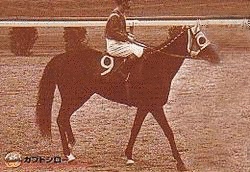 1962年生 (競走馬)の画像