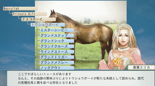 テスコボーイの画像