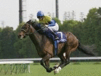 アイフルの画像