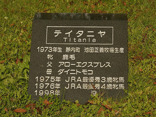 テイタニヤの画像