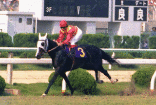 カツアールの画像