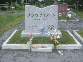 1978年生 (競走馬)の画像