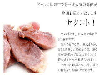 セクレトの画像