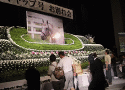 ランドヒリュウの画像