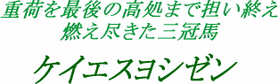ミスターヨシゼンの画像