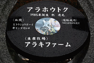 アラホウトクの画像