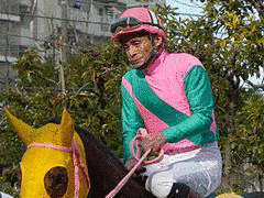 アクチブハトリの画像