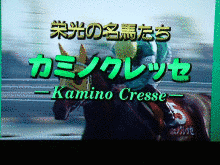 カミノクレッセの画像