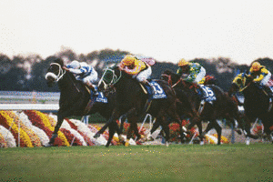 トロットサンダーの画像