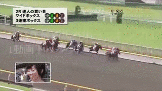 ダイメイゴッツの画像