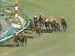 ノーザンポラリスの画像