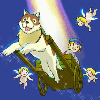フランダースの画像