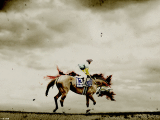 現役中に死亡した競走馬の画像