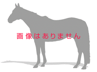 インティカブの画像