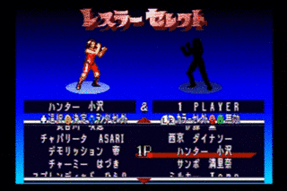 スーパーファイヤープロレスリング クイーンズスペシャルの画像