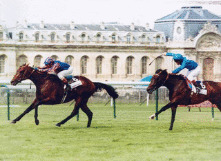 フランス調教の競走馬の画像