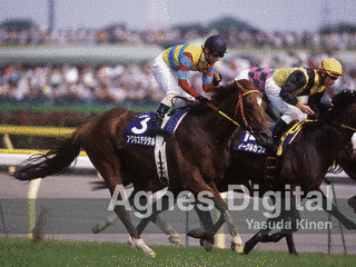 1997年生 (競走馬)の画像