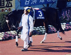 ユウフヨウホウの画像