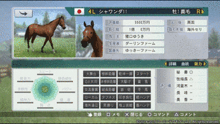 シャワンダの画像